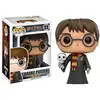 Image de Figurine Funko POP! - Harry Potter - Harry Potter avec Hedwige n°31