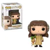 Image de Figurine Funko Pop Harry Potter S5 Hermione Granger Herbology