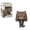 Image de Figurine Funko POP - Harry Potter - Hermione en chat n°77
