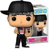 Image de Funko POP! A Palooza 22 New Kids On The Block Danny (316)