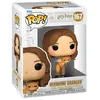 Image de Figurine Funko Pop & Buddy Harry Potter Hermione Granger with Crookshanks
