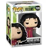 Image de Figurine Funko Pop Disney Villains S5 Mother Gothel