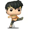 Image de Funko POP! Ranma 1/2: Ryoga