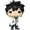 Image de Funko POP! Fairy Tail 100 Years Quest: Gray