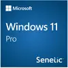 Image de Windows 11 Pro 64Bit Eng Intl 1pk DSP OEI DVD FQC-10528