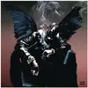 Image de Les oiseaux dans le piège chantent McKnight, Disque vinyle