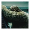 Image de Lemonade Vinyle album