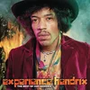 Image de Experience Hendrix: the Best of Jimi Hendrix [Vinyl LP] en occasion ou reconditionné