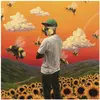 Image de Flower Boy, Disque vinyle