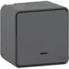 Image de Schneider Electric - Interrupteur va et vient IP55 + voyant - anthracite - Mureva - Schneider