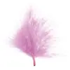 Image de Sachet De 20 Plumes Rose