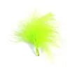 Image de 20 plumes de 7cm - anis - chalayer 000257100000010