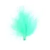 Image de 20 plumes de 7cm - turquoise - 000257100000008