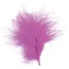 Image de Sachet De 20 Plumes Fuschia