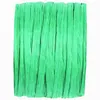 Image de raphia -turquoise