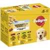 Image de Multipack Pedigree Junior pour chiot - 12 x 100 g, sélection variée en gelée (4 variétés)