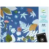 Image de Djeco Nachfüllpackung Blaudruckpapier 12 Stk