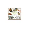 Image de Coffret Incredibile Mirabile Magius Djeco