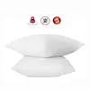 Image de 2 oreillers anti-acariens 60 x 60 cm