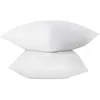 Image de ABEIL Lot de 2 Oreillers FluffyDream 60 x 60 cm