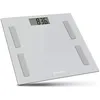 Image de Terraillon Body Connect - Balance - gris