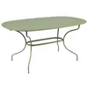 Image de Table Opà ©ra+ Ovale 160 X 90 Cm - Cactus