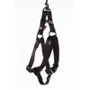 Image de Harnais baudrier 10-25/35cm noir MARTIN SELLIER 12020.4 Noir