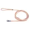 Image de Martin Sellier - Laisse en Nylon Ronde de 3m - Beige