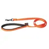 Image de Martin Sellier - Laisse Double en Nylon de 25-60cm pour Chien - Orange