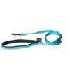 Image de Martin Sellier - Laisse Double en Nylon de 25-60cm pour Chien - Turquoise