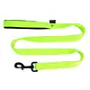 Image de Martin Sellier - Laisse en Nylon Double 25-120 - Vert Citron