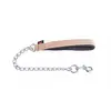 Image de Laisse Chat.T/Fte Nylon 30-60 Rose - Martin Sellier