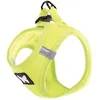 Image de Mesh - Harnais - Pour chien -Taille 2XS - Coloris Vert