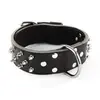 Image de Collier Cloute 65 - Martin Sellier