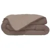 Image de HUDSON Couette legere Microfibre 200g/m2 220x240cm Taupe + Lin