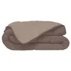 Image de HUDSON Couette legere Microfibre 200g/m2 240x260cm Taupe + Lin