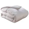 Image de COUETTE PLEIN CIEL 70% DUVET OIE ET CANARD