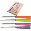 Image de Opinel No 125 BON APPETIT POP Ensemble de couteaux de table, 4x, Couverts, Orange, Vert, Rose, Violet