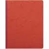 Image de Exacompta, Cahier + bloc-notes, Livres de comptes (320 x 250 mm, À rayures)