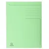 Image de EXACOMPTA Chemise imprimée Foldyne 300, A4, vert pastel