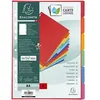 Image de Intercalaires A4 - 6 Positions - Carte Lustrée 400G - Exacompta
