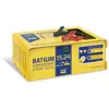 Image de Chargeur Batterie Techno Batium 6/12/24v - 450w