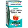 Image de Juvamine Queue de Cerise Reine des Prés x 50
