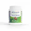 Image de Juvamine Thé Vert Guarana Gélules x 120