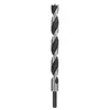 Image de Bosch Professional Zubehör, Foret, Mèche à bois pour machines, pointe M 18 x 250 mm, d 10 mm (10 mm)