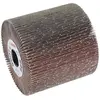 Image de Bosch Professional Zubehör, Abrasifs, Rouleau abrasif à lamelles, 19 mm, 80, 100 mm (80)