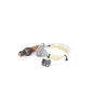 Image de Sonde Lambda Bosch 0258006455