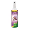 Image de ALGOFLASH Hydratant Orchidées - 250ml