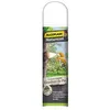 Image de ALGOFLASH NATURASOL Cicatrisant Goudron de pin - Aérosol 300 ml