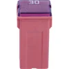Image de Fusible Mini Japonais Femelle De Type J Restagraf 30 A